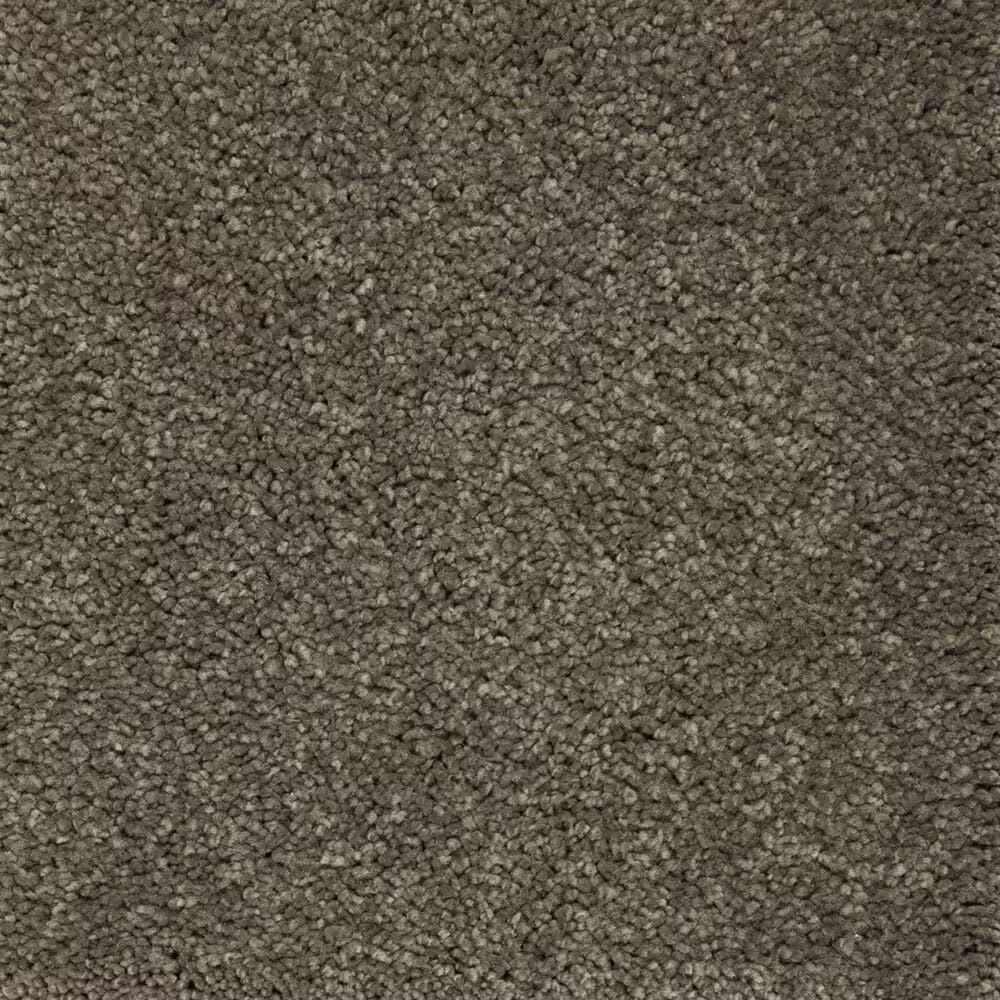 Mohawk Pleasant Touch Carpet in Legendary