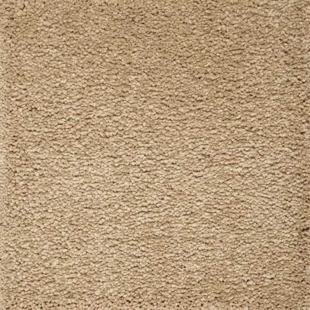 Mohawk Pleasant Touch Carpet in November Foliage