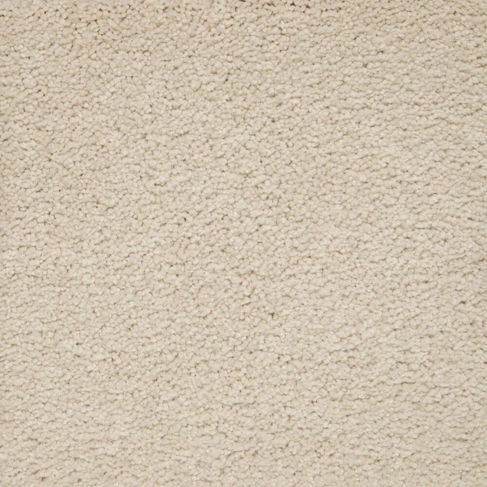Mohawk Pleasant Touch Carpet in Romano