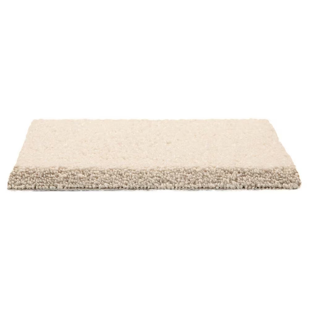 97475-mohawk-pleasant-touch-carpet-in-romano-1.jpg