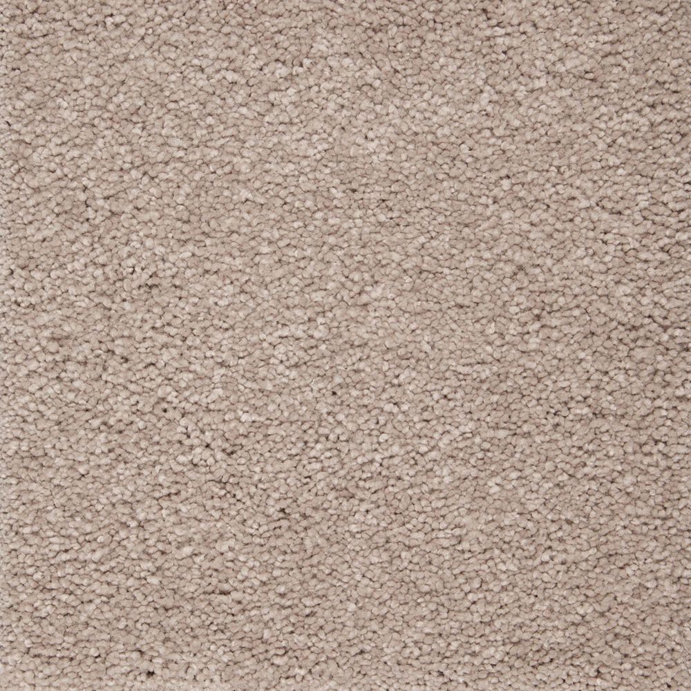 Mohawk Pleasant Touch Carpet in Soapstone