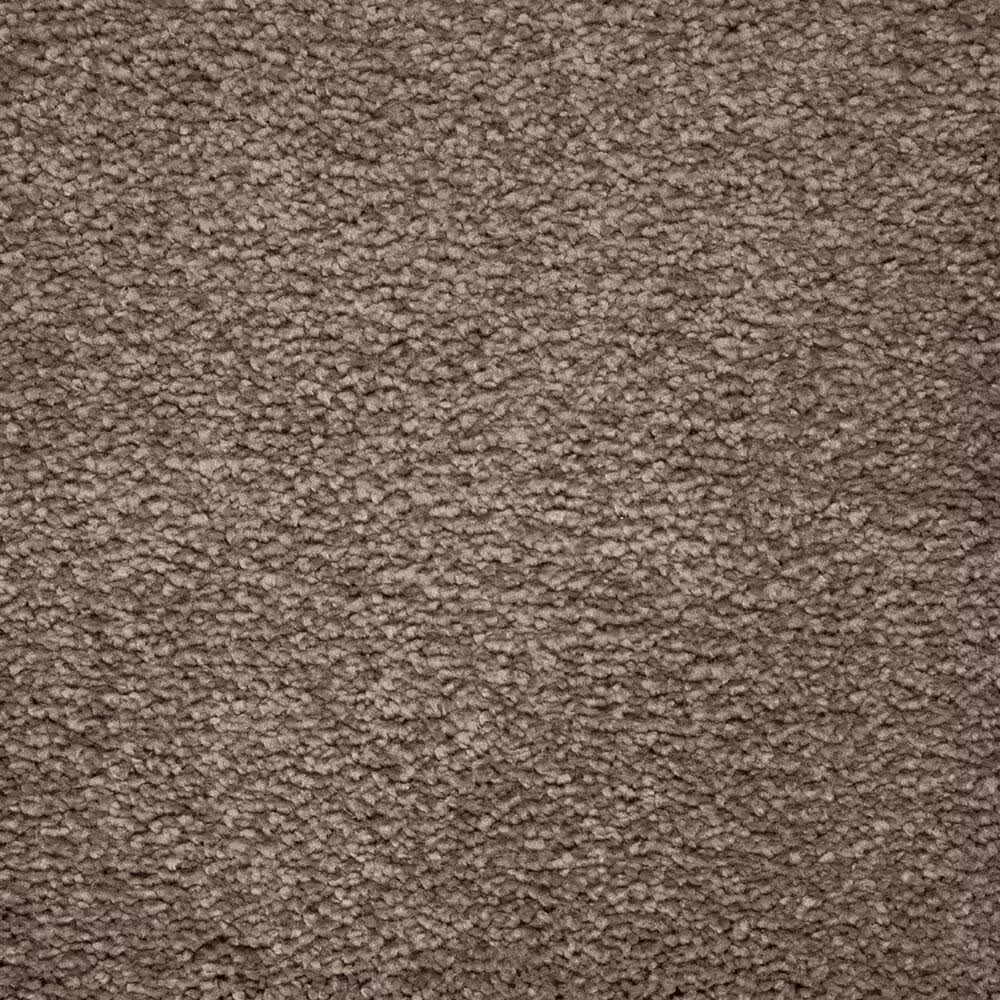Mohawk Pleasant Touch Carpet in Steeplechase