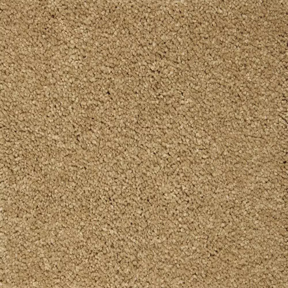 Mohawk Pleasant Touch Carpet in Stonington Beige