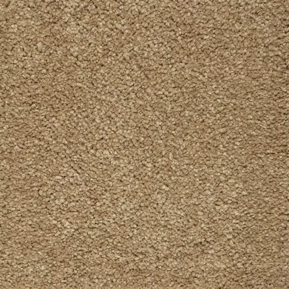 Mohawk Pleasant Touch Carpet in Tortoise Comb