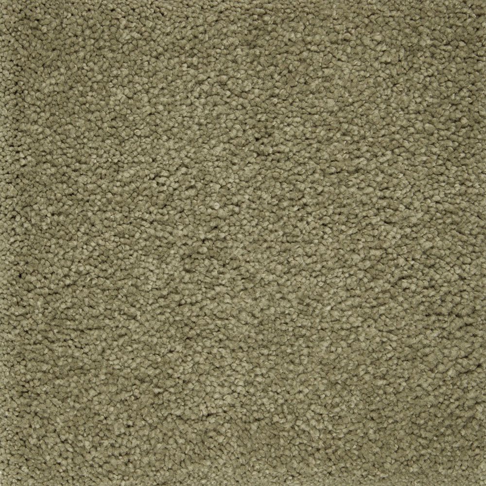 Mohawk Pleasant Touch Carpet in Valley Fog