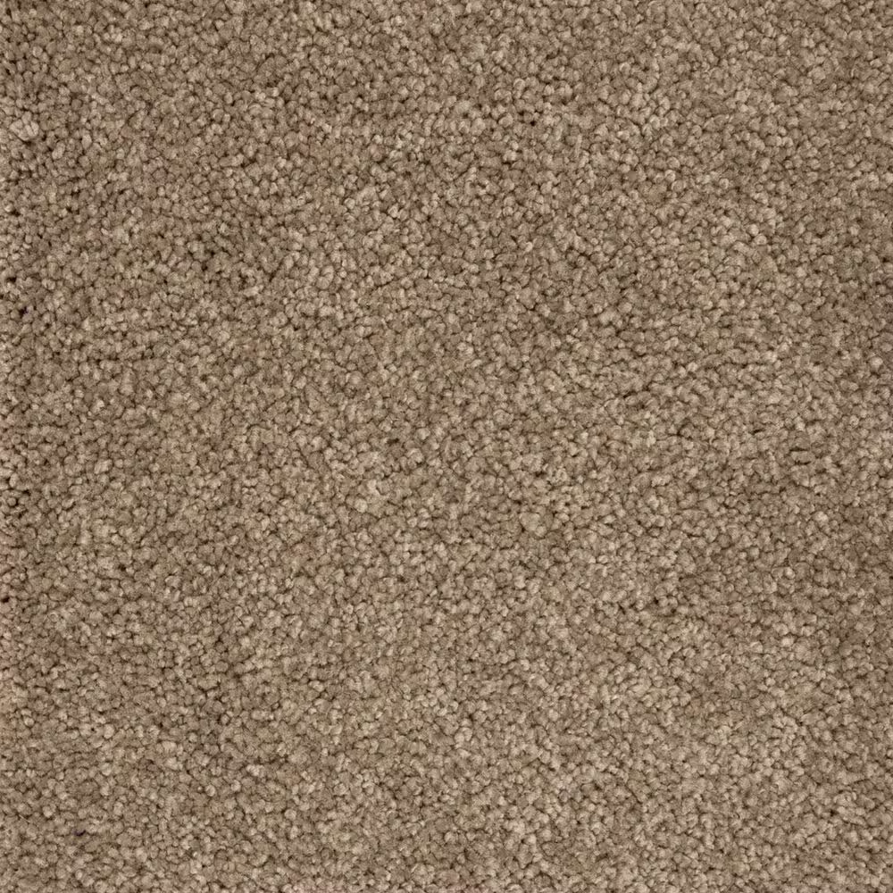 Mohawk Pleasant Touch Carpet in Woodland