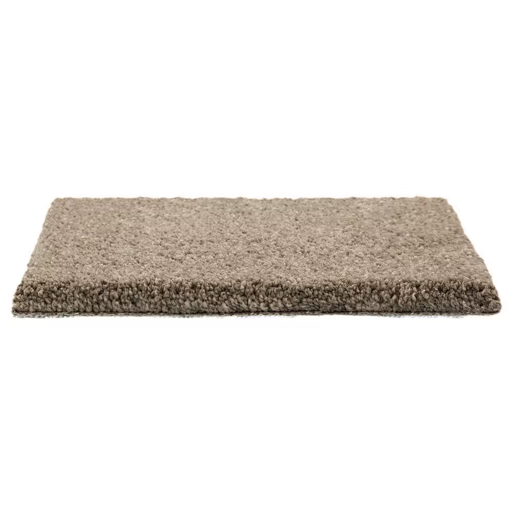 97859-mohawk-pleasant-touch-carpet-in-woodland-1.jpg