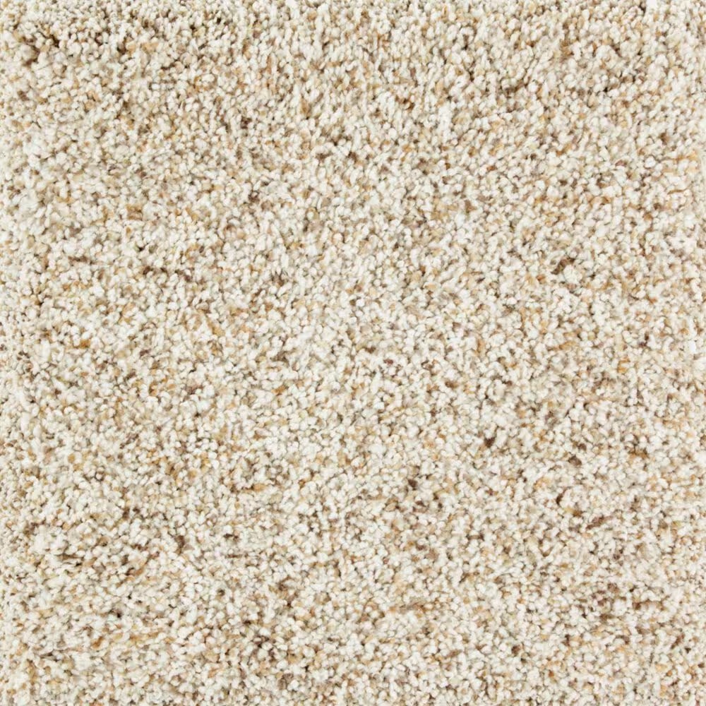 Mohawk Exquisite Appeal Carpet in Beach House