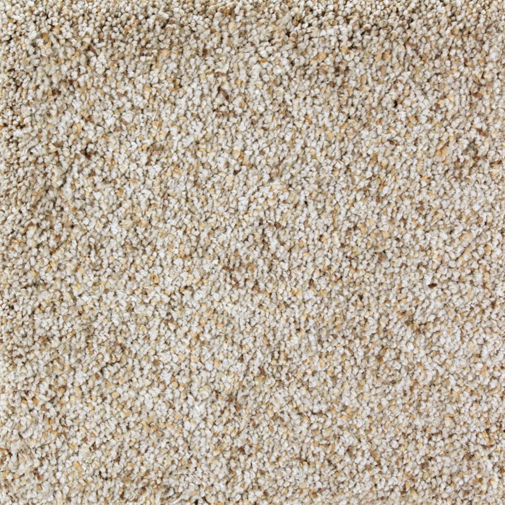 Mohawk Exquisite Appeal Carpet in Bird Bath