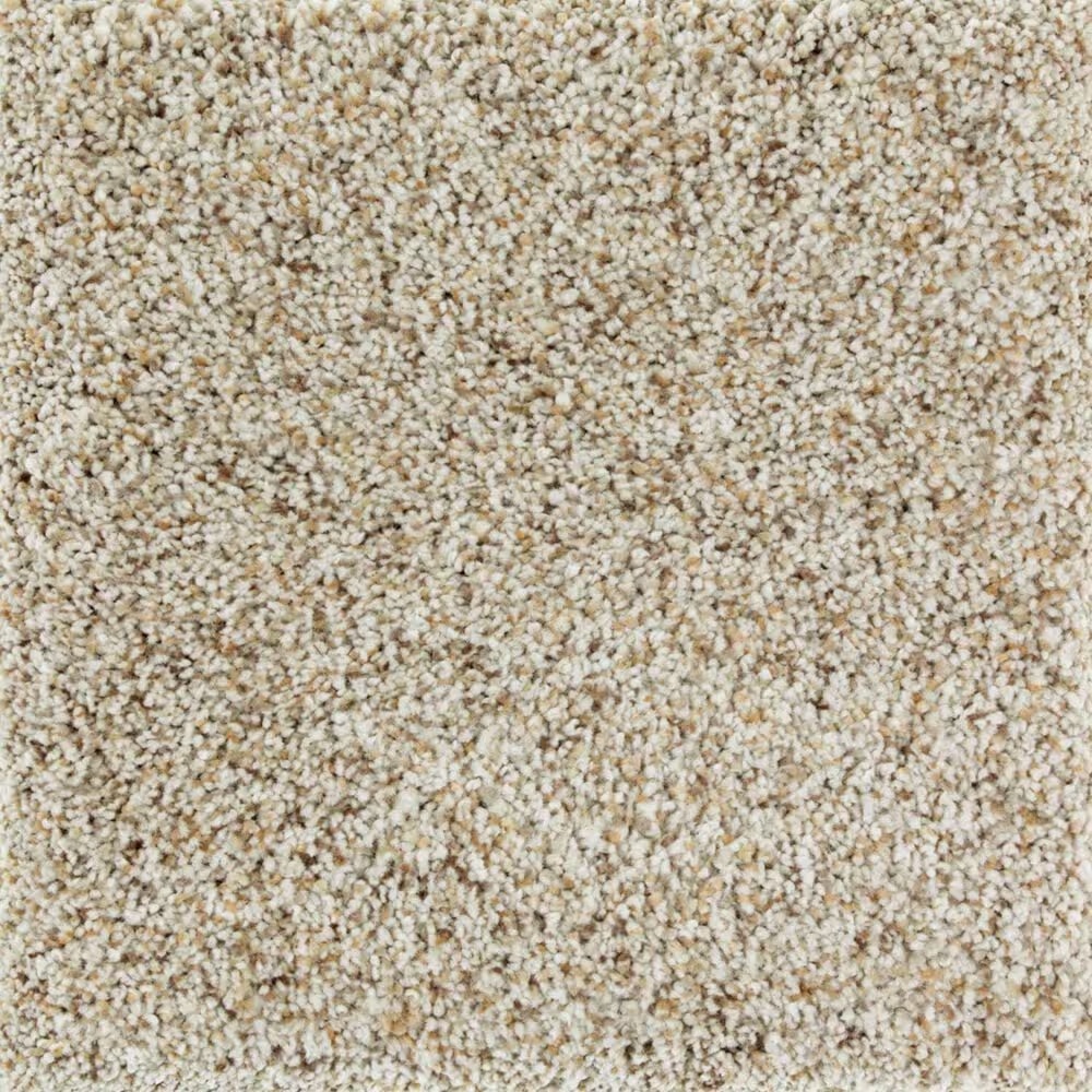 Mohawk Exquisite Appeal Carpet in Nature's Blend