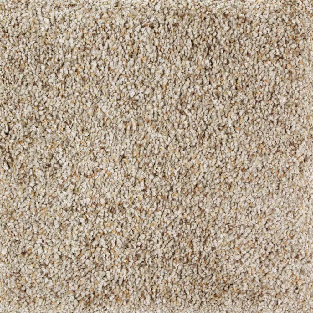 Mohawk Exquisite Appeal Carpet in Stepping Stones