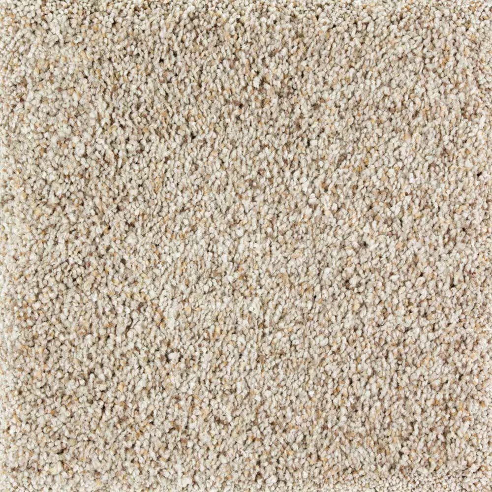 Mohawk Exquisite Appeal Carpet in Jack Rabbit
